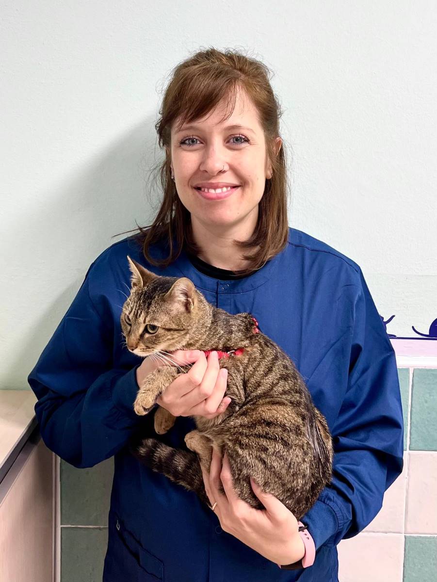 dott.ssa-gaia-de-vincenzi-ambulatorio-veterinario-povegliano
