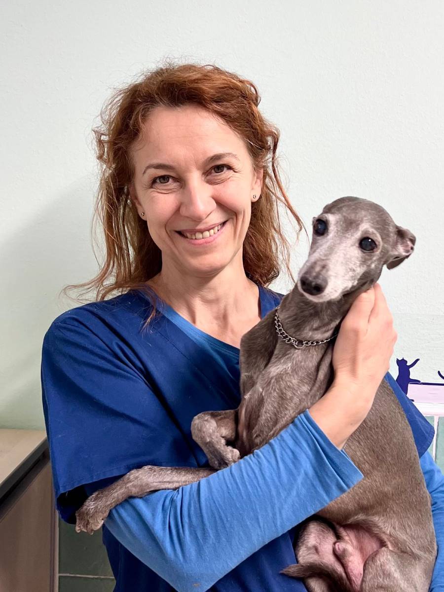 dott.ssa-lina-elena-pasetti-ambulatorio-veterinario-povegliano